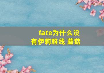 fate为什么没有伊莉雅线 蘑菇